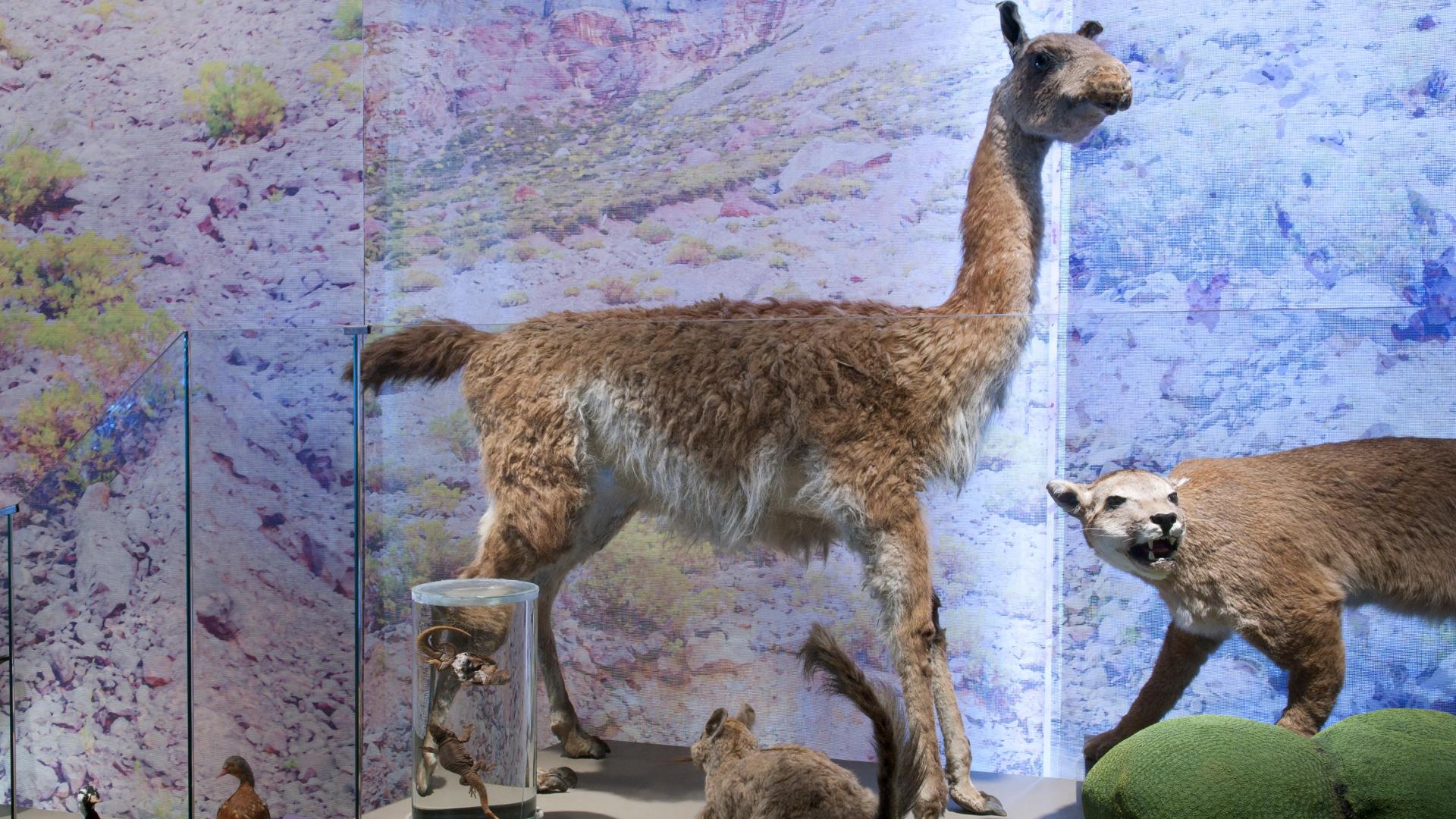 exposición permanente