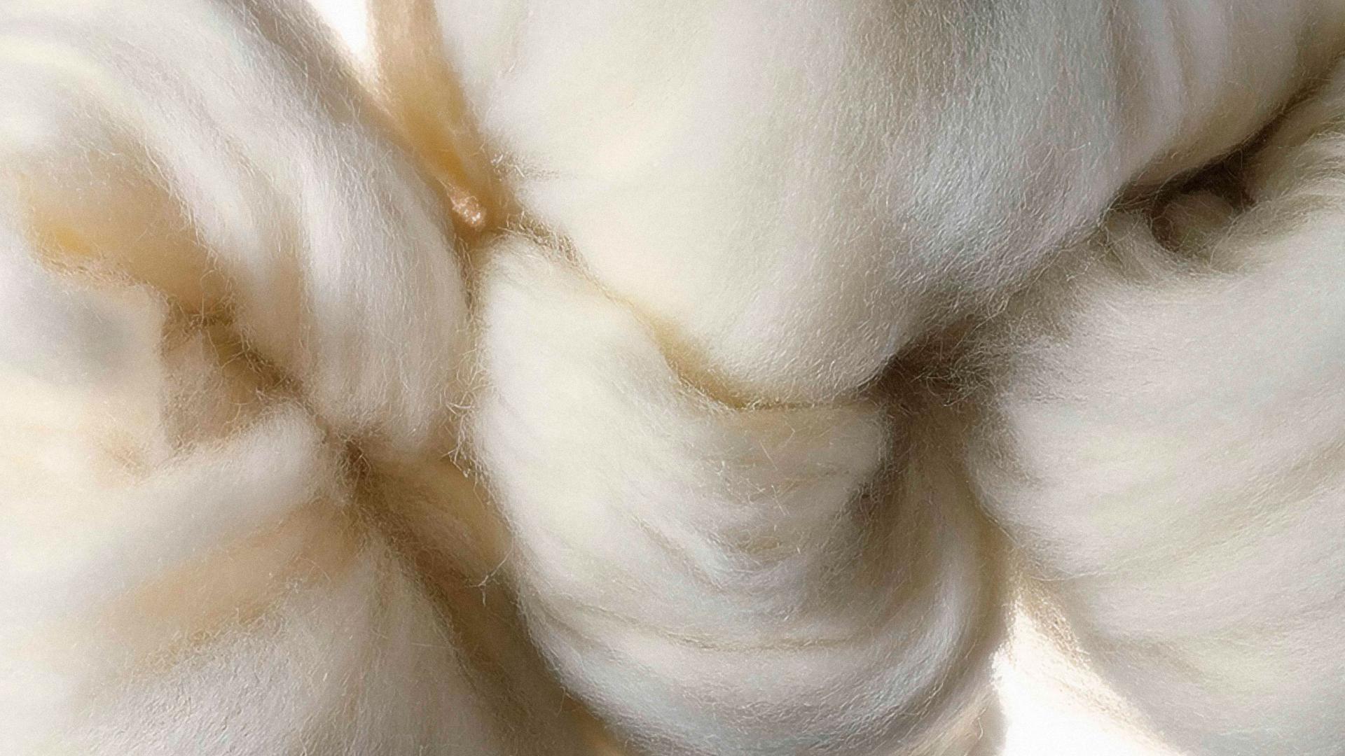 Imagen de una lana que alude a la Bienal de Arte Textil 