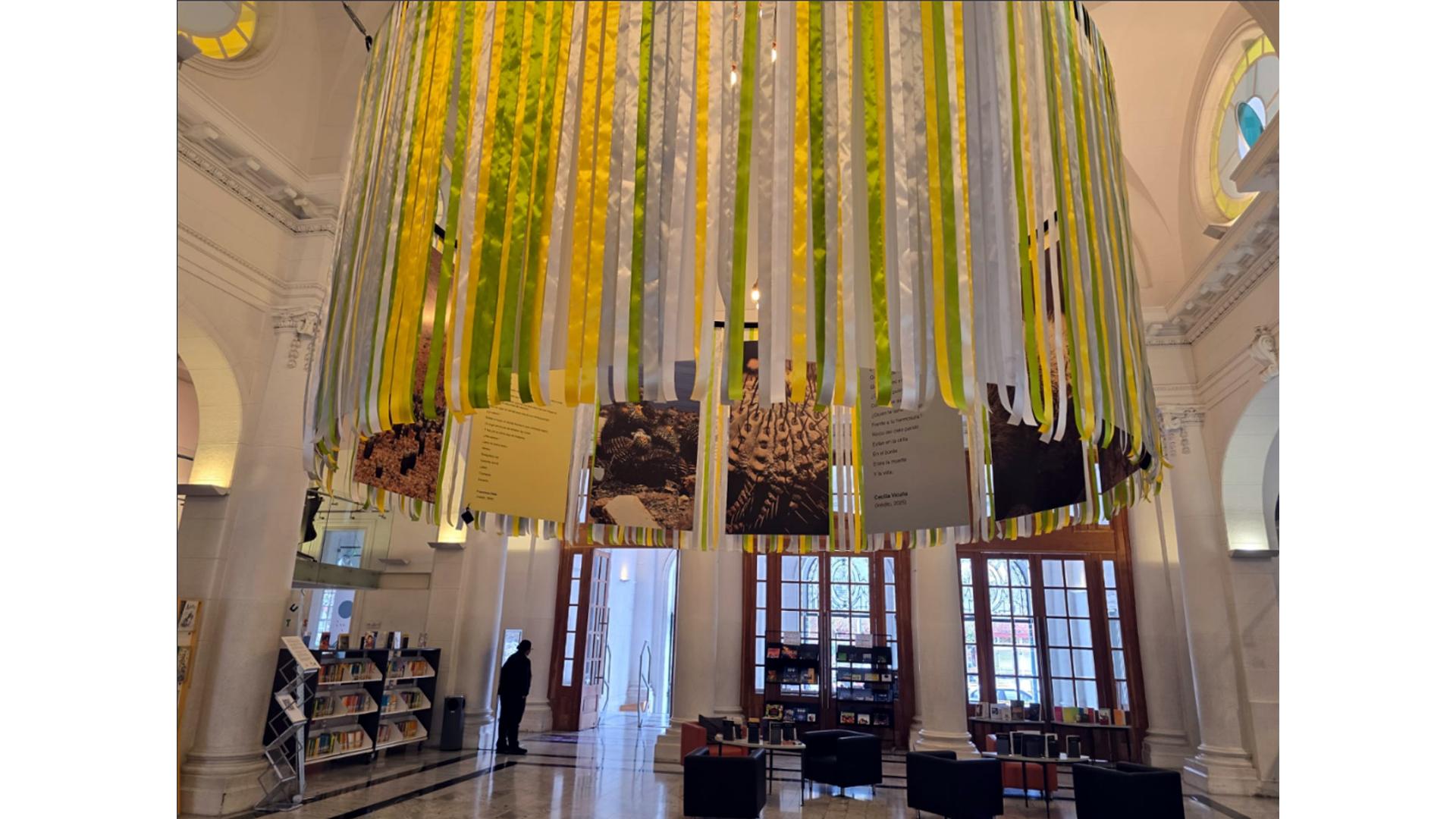 Exposición "Con ojos de Copiapoa"