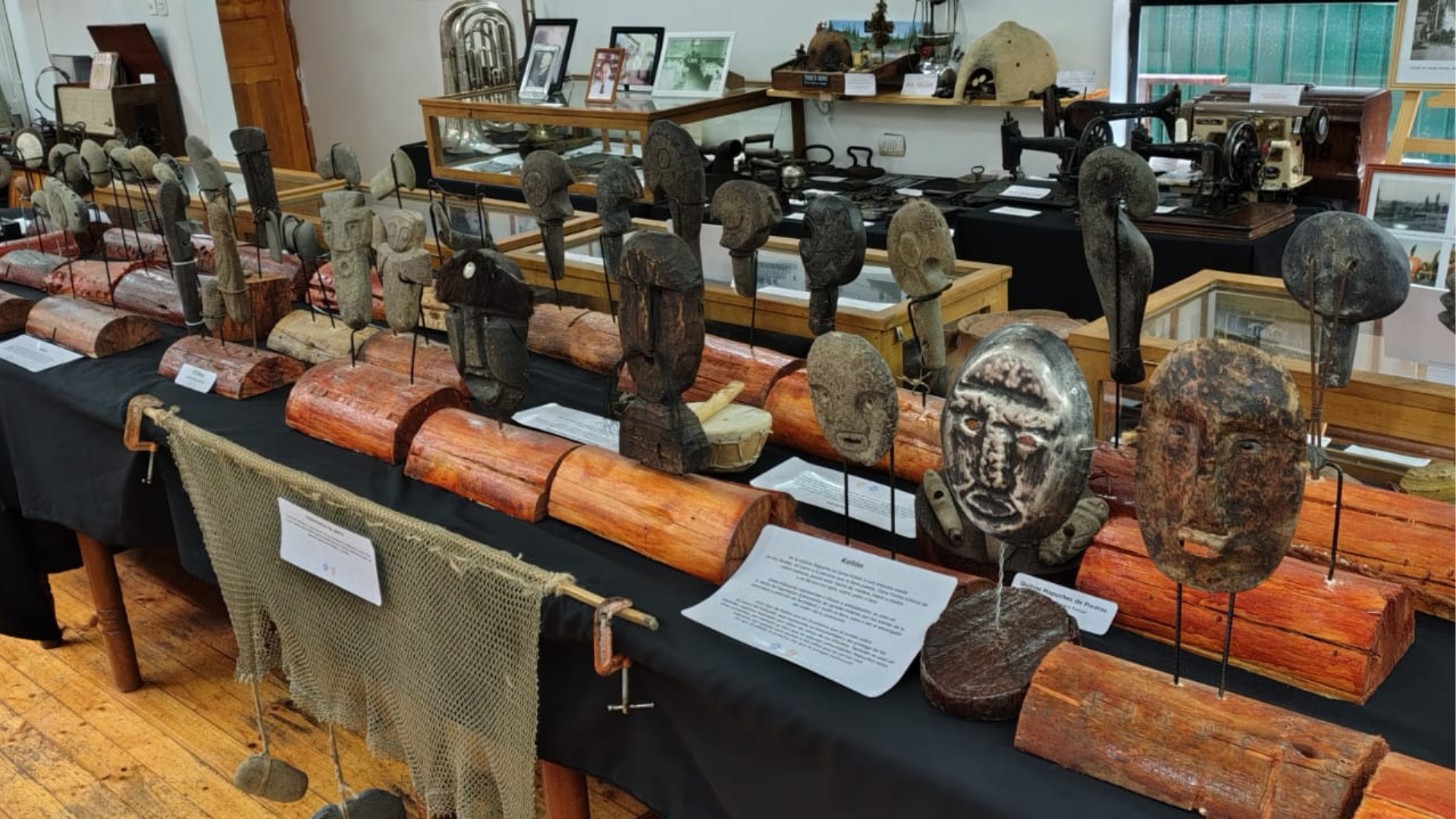 Muestra de Pueblo Originarios