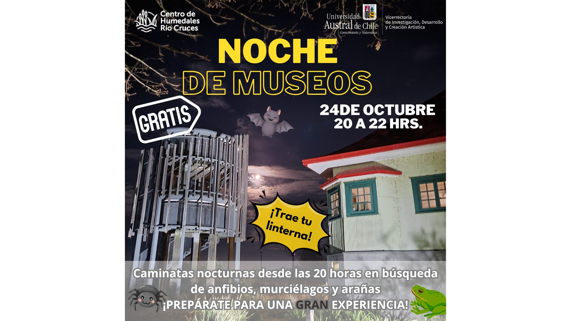 Noche de museos