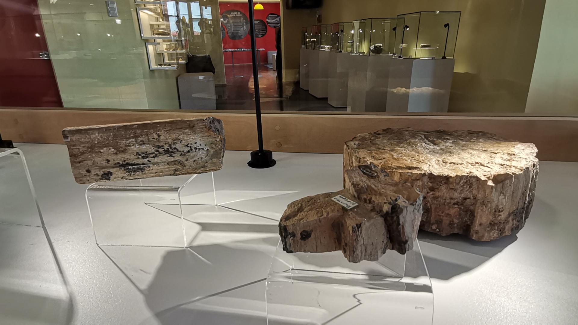 Colección arqueológica