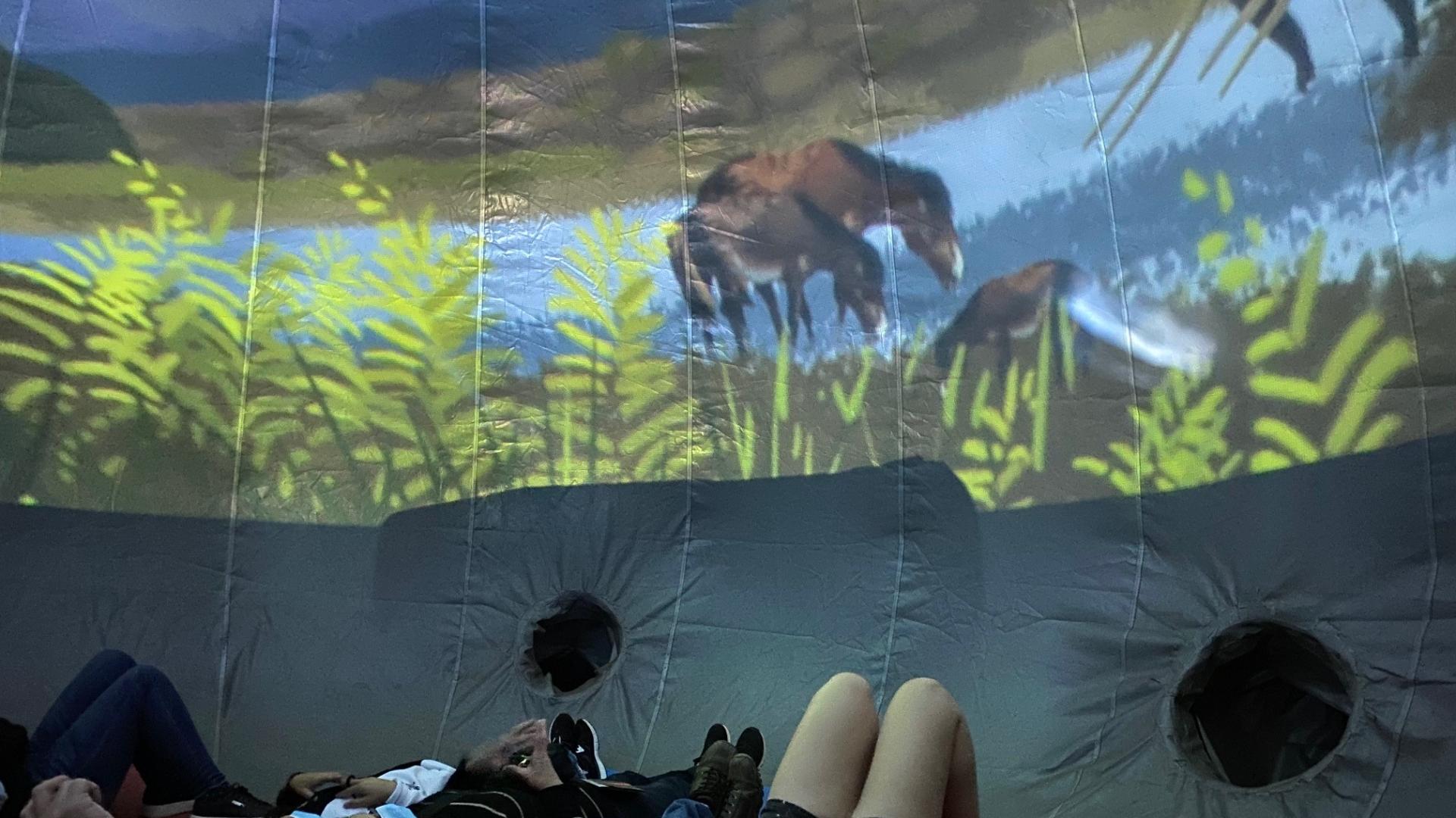 Vive una experiencia inmersiva de ciencia y patrimonio.