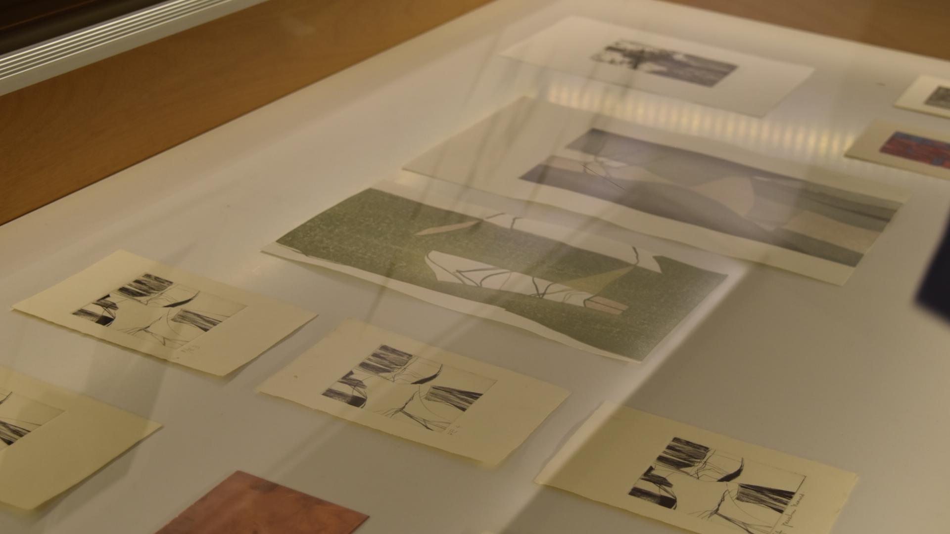 Vitrinas Exposición Ivonne Chia Fan Obras y Matrices