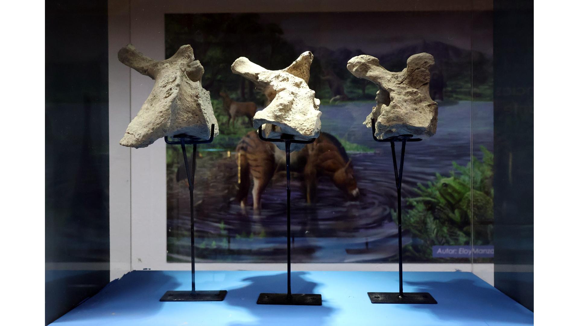 Museo Escuela Laguna Taguatagua 2