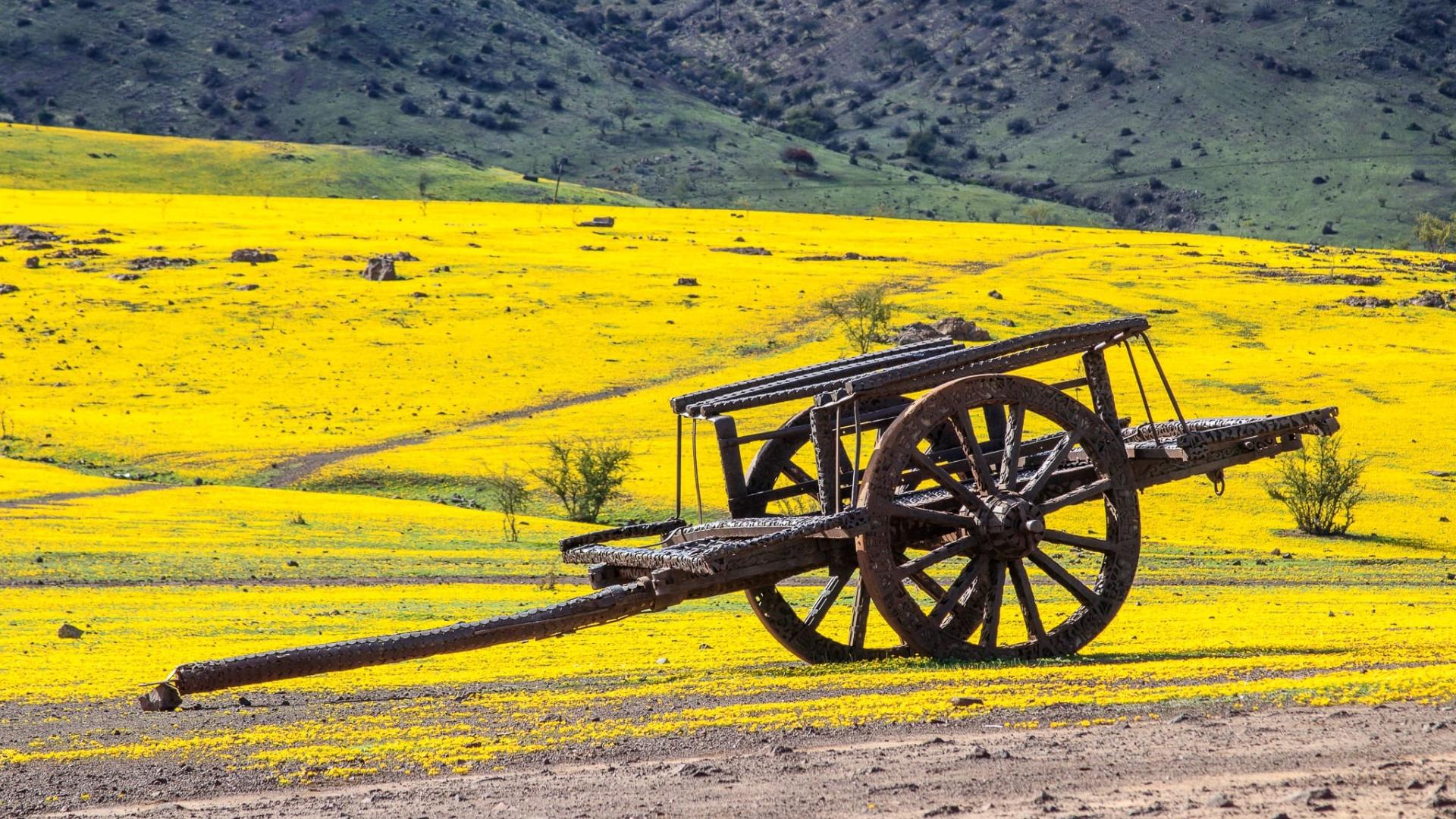 La Carreta Cololo representa el inicio del Parque Escultorico Cementerio de Carretas Putaendo