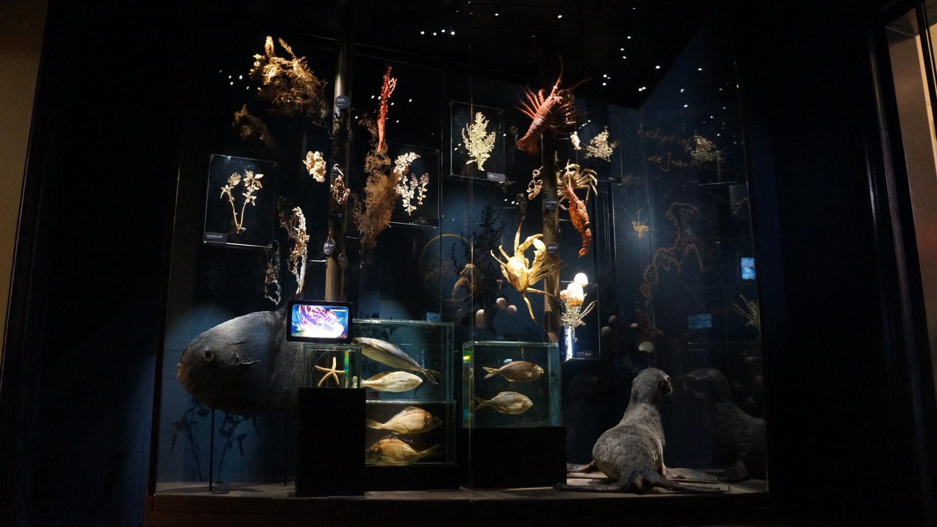 Exposición Biodiversidad en la región de Valparaíso