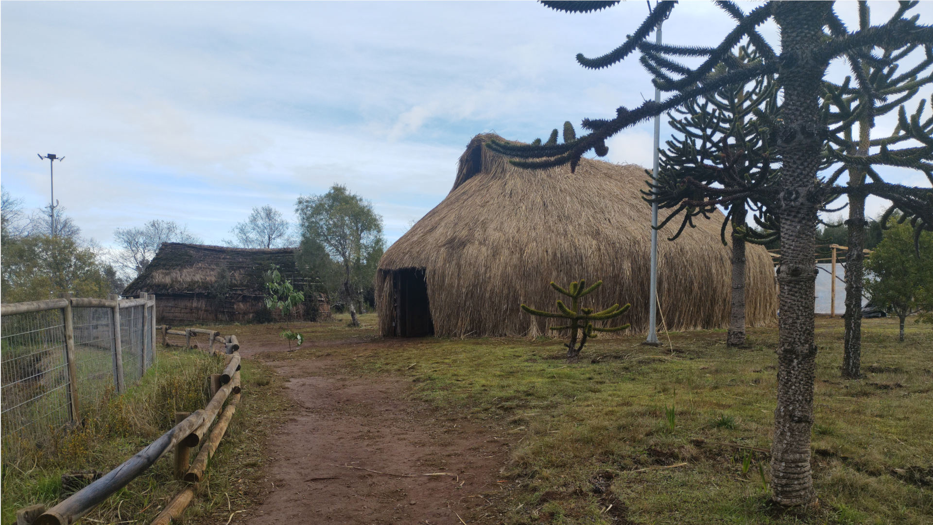 Ruka del Museo