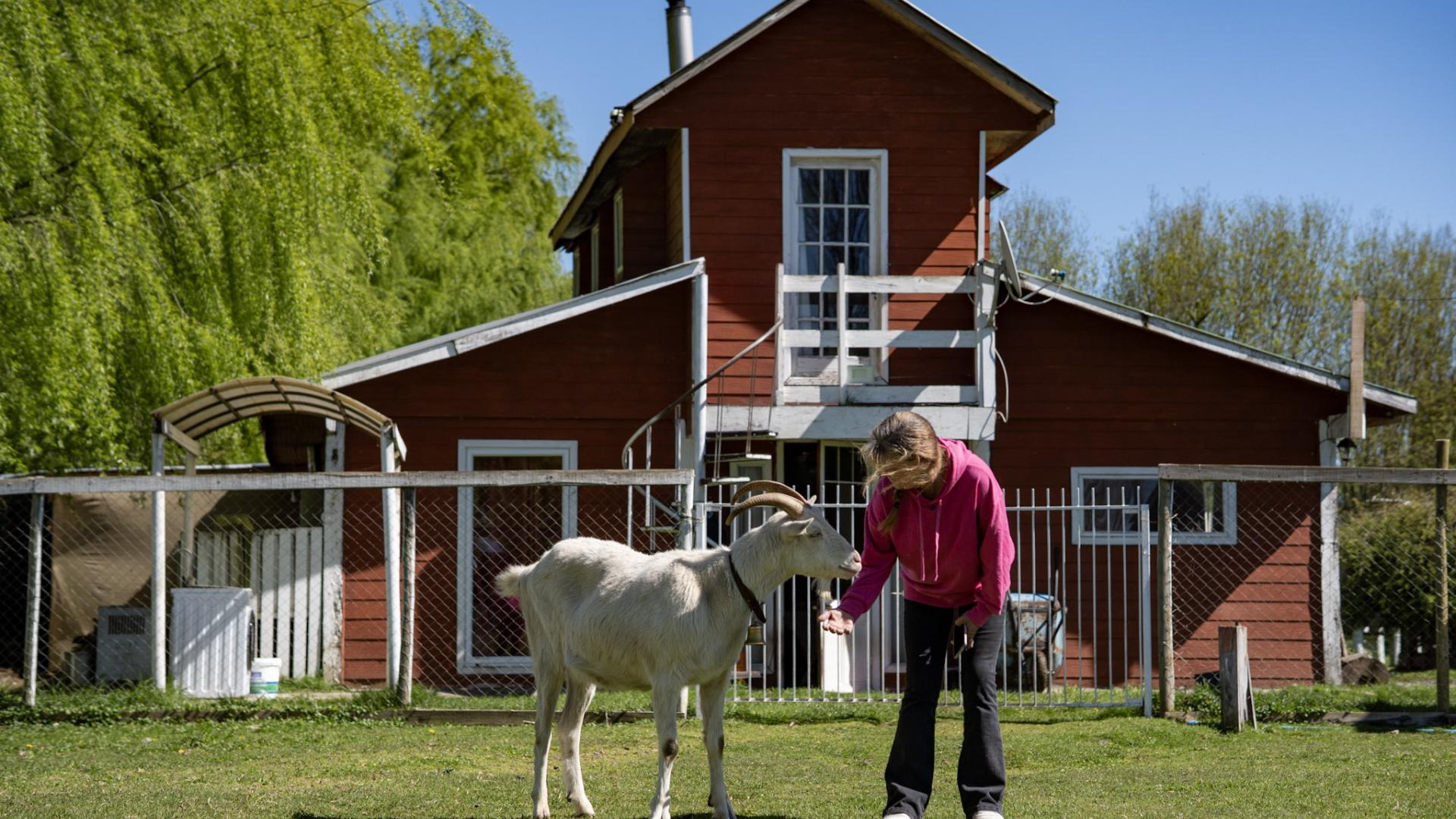 Granja educativa