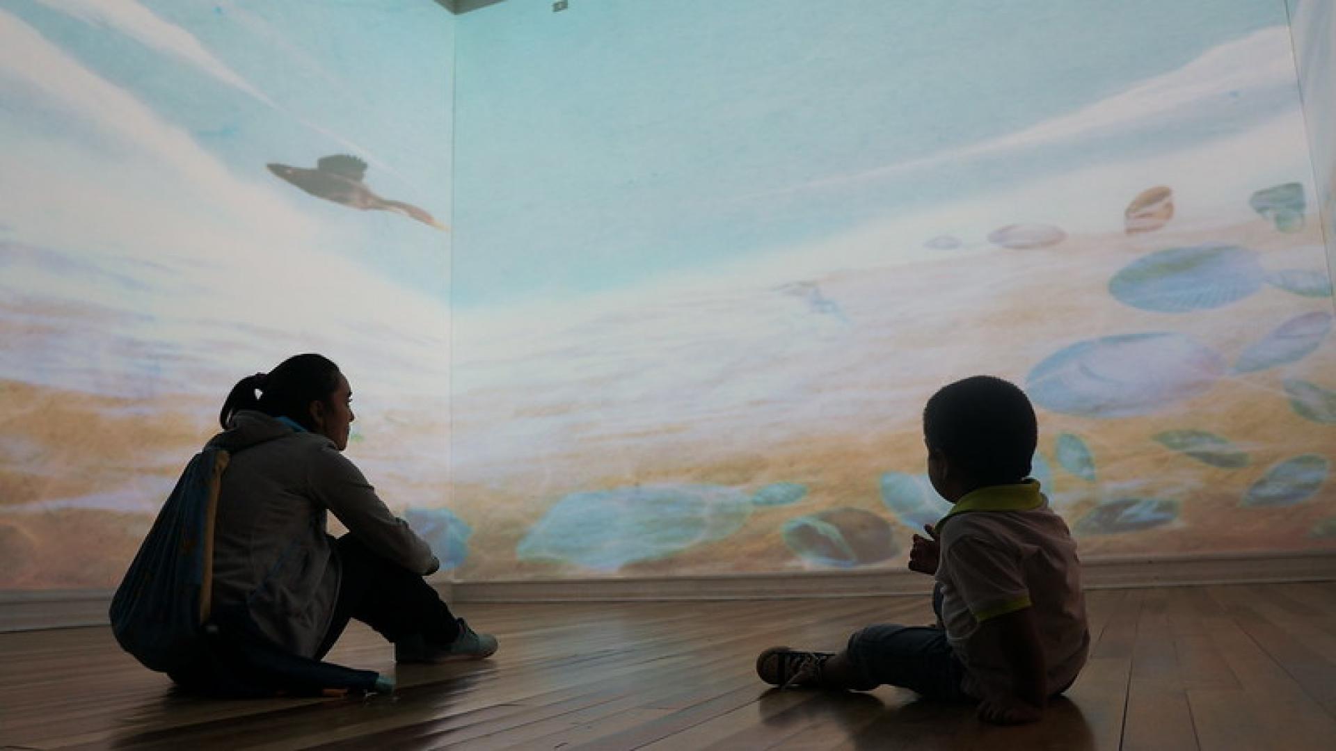 Exposición Biodiversidad en la región de Valparaíso