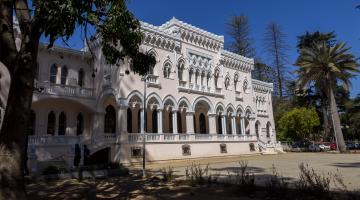 El Museo Palacio Vergara es un edificio de colorido rosado pálido con una arquitectura de estilo neogótico veneciano. Su fachada está adornada con una serie de arcos  y columnas, dándole la apariencia de un castillo en medio del parque arbolado de la Quinta Vergara