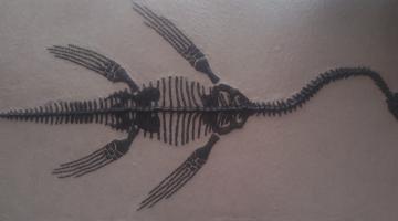 Museo Paleontológico de Algarrobo. Dedicado al yacimiento Playa de los Fósiles. Trae réplicas de los grandes reptiles marinos mesozoicos como el elasmosaurio y el mosasauriocomo