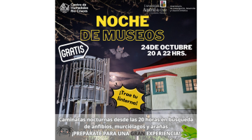Noche de museos