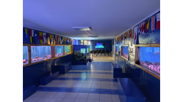 En la imagen se muestran los acuarios, además en el fondo se muestra nuestra sala multimedia que sera la que estará habilitada como nuestra "sala oscura"