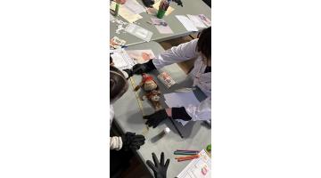 Taller infantil: “La vida secreta de mi juguete favorito”