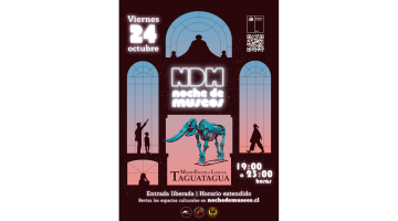 Afiche General Noche de Museos